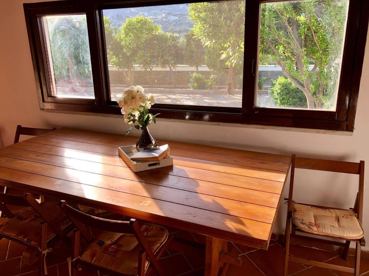 Tranquil Studio Andros Livádhia 外观 照片